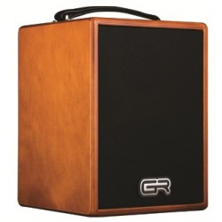 GR GUITAR WD Acoustic 5