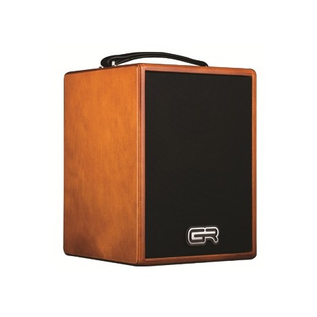 GR GUITAR WD Acoustic 5