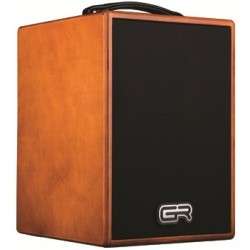 GR GUITAR WD Acoustic 6
