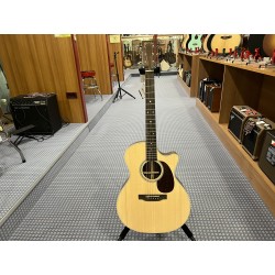 Martin & C. GPC-16E-01 Rosewood