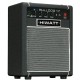 Hiwatt Bulldog 17 Combo per basso 1x8 17 W