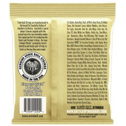Ernie Ball 2004 Earthwood 80/20 Kit Pz.4