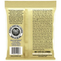 Ernie Ball 2006 Earthwood 80/20 Kit Pz.4