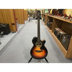 Takamine Fcx Ctw Elet G Series