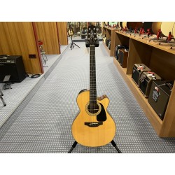 Takamine Nex Ctw Elet G Series 