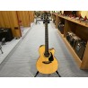Takamine Nex Ctw Elet G Series 