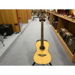 Takamine New yorker Elet G Series 