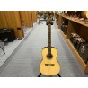 Takamine New yorker Elet G Series 