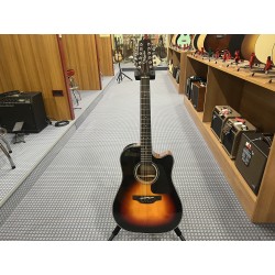 Takamine Dreadnought 12 Ctw Elet G Series