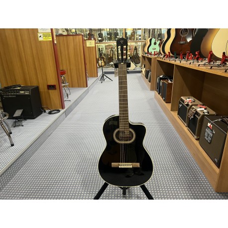 Takamine Classica Ctw Elet G Series 