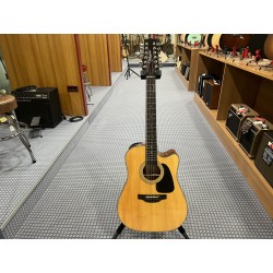 Takamine Dreadnought 12 Ctw Elet G Series