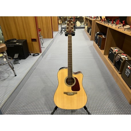 Takamine Dreadnought Ctw Elet G Series