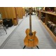 Takamine Nex Ctw Elet G Series