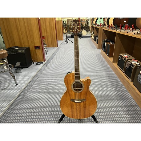 Takamine Nex Ctw Elet G Series