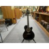 Takamine Nex Ctw Elet G Series 