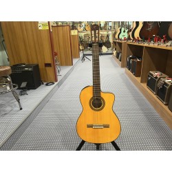 Takamine Classica Ctw Elet G Series 