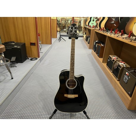 Takamine Dreadnought Ctw Elet G Series Pro