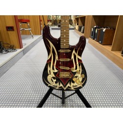 Fender Custom Shop Stratocaster Haynie Graph.tk Anno 2010
