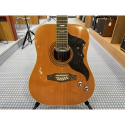 EKO Acustica Amplificata 12 Corde Anni '60/'70