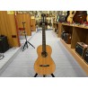 Breedlove P/SRE TT usato