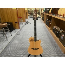 Godin ACS Nylon Synth Access 2 Voice Natural SG   