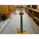 Godin ACS Slim Nylon Synth Access 2 Voice Natural SG