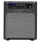 Hiwatt Bulldog 30 Combo per basso 1x10 30 W