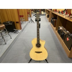 Bromo Chitarra Auditorium Cutaway Top Natural