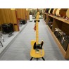 Fender AM PRO CLSC TELE MN BTB