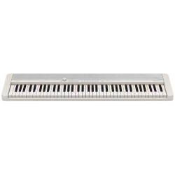Casio CTS176WE