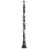Roy Benson Clarinetto in Sib CB-317  