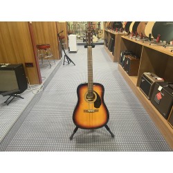 Fender Chitarra acustica FA115 usato