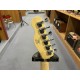 Fender AFF TELE LRL WPG LPB 