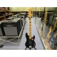 Fender CV 70S P BASS MN BPG BLK 
