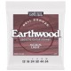 Ernie Ball 2346 Earthwood Bell Bronze Acoustic Medium Light 12-54