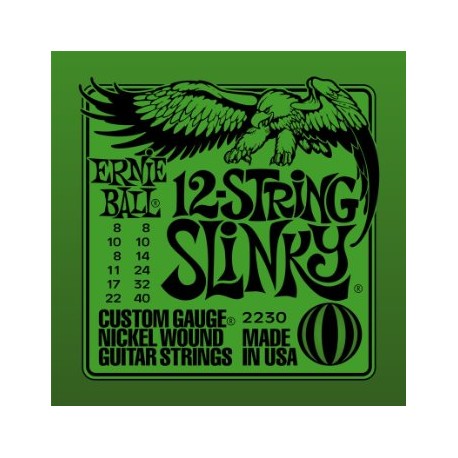 Ernie Ball 2230 12 String Slinky muta elettrica
