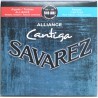 Savarez 510ARJ Set Tensione Mista muta classica 
