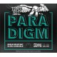 Ernie Ball 2026 Paradigm Not Even Slinky muta elettrica 