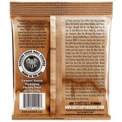 Ernie Ball 2150 Earthwood Phosphor