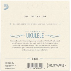 D'addario Ukulele set EJ65T Tenore