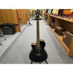Ibanez AEG50LBKH