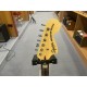 Fender PNML TROUBLE TELE DLX BIGS LRL PPG HSB 