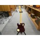 Fender PNML TROUBLE TELE DLX BIGS LRL PPG HSB 