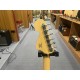 Fender PNML TROUBLE TELE DLX BIGS LRL PPG HSB 