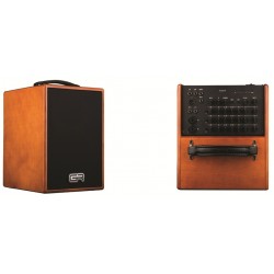 GR GUITAR WD Acoustic 8