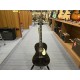 PRS SE P20 Parlor Dog Hair Gloss Top Satin Back, Fishman Pickup P20HHHECCCE1DG SE Acoustic