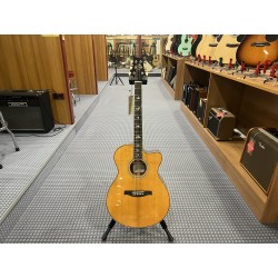 PRS SE A40 Angelus Natural, Fishman Pickup A40011ETTCE1NA SE Acoustic 